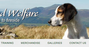 Trailhound Welfare website design