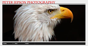 Peter Jepson website design